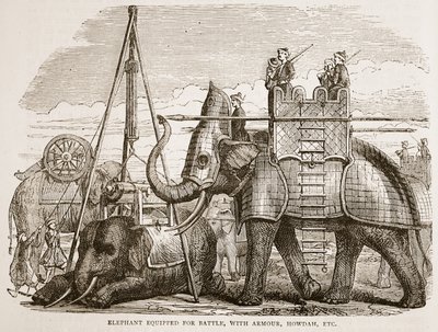 Csatára felszerelkezett elefánt, páncélzattal, howdah-val stb., illusztráció a Cassells Illustrated History of India-ból, James Grant, pub. 1879 alkotó: English School