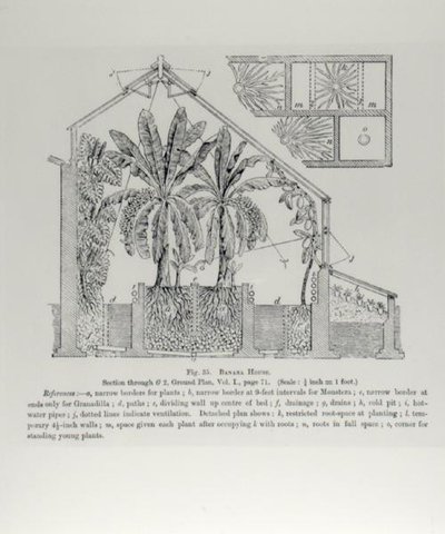 Üvegház magassága, John Wright „The Fruit Grower