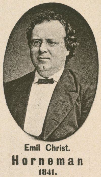 Emil Christian Horneman (mélynyomás) alkotó: English School