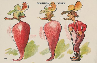 Entwicklung eines Bauern von English School