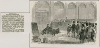 Az amerikai lószelídítő kiállítása Őfelsége és az udvar jelenlétében a Buckingham-palotában alkotó: English School