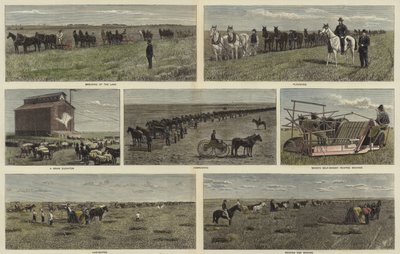 Gazdálkodás Észak-Amerika síkságain alkotó: English School