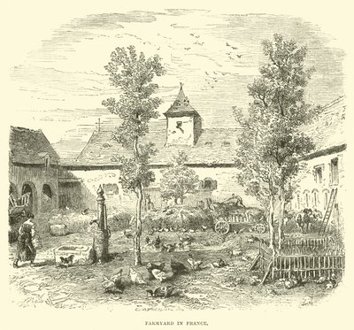 Farmyard Franciaországban alkotó: English School