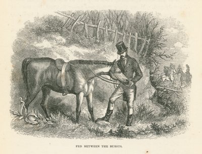 Fed Between the Bursts (vésés) alkotó: English School