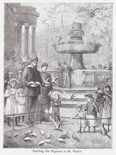 A galambok etetése a Szent Pál templomban (metszet) alkotó: English School