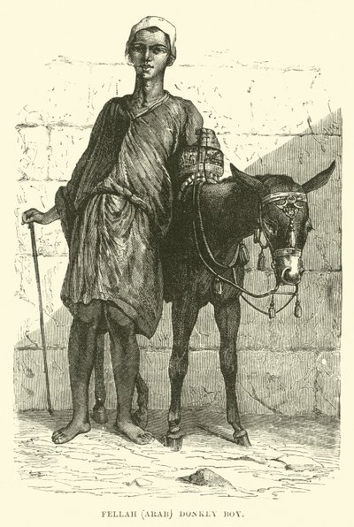 Fellah, arab; szamárfiú alkotó: English School
