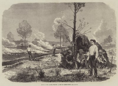 Tüzek a franciaországi Landesben, megfigyelőhely (metszet) alkotó: English School