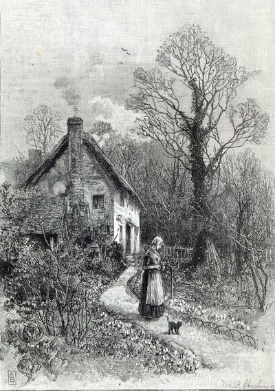Első virágok, a Szabadidő órából, 1888 alkotó: English School