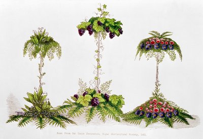 Első díj asztaldíszítésért, Királyi Kertészeti Társaság, 1851 alkotó: English School