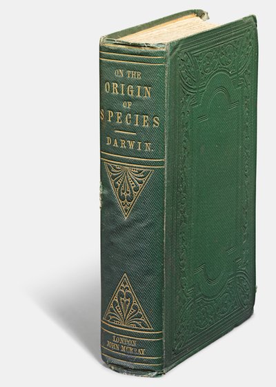 Charles Darwin, London: „A fajok eredetéről a természetes kiválasztódás eszközeivel” első kiadása: John Murray alkotó: English School