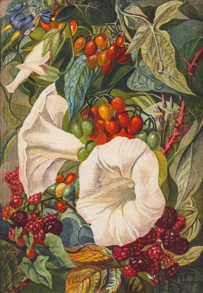 Virágok és bogyók (színes litográfia) alkotó: English School