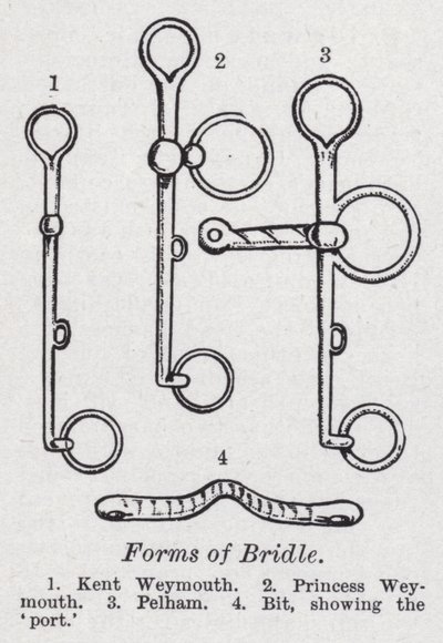 A kantár formái (litho) alkotó: English School