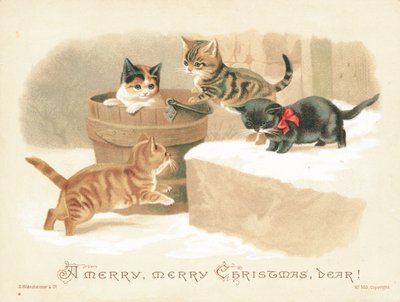 Négy kis cica játszik, karácsonyi üdvözlőlap alkotó: English School