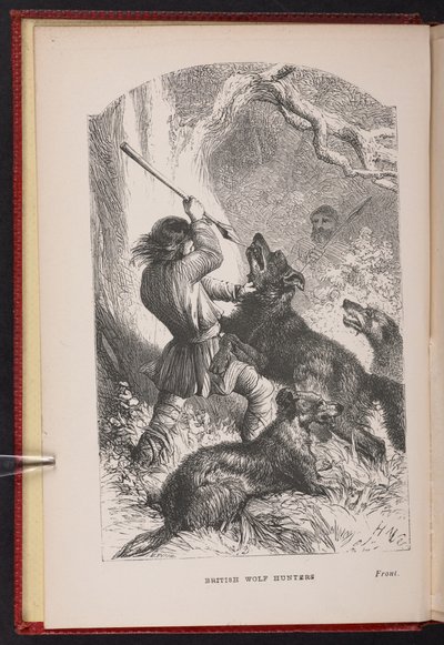 A The British Wolf-Hunters előlapja. Egy mese stb., Thomas Millertől alkotó: English School
