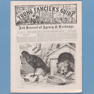 Frontispiece a The Young Fanciers Guide-ból, 1874 (lásd még: 315145) alkotó: English School
