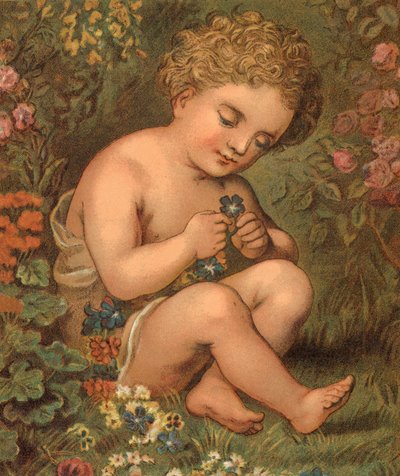 Kerti virágok (színes litho) alkotó: English School