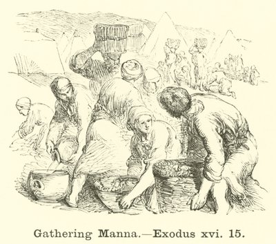 Manna összegyűjtése, Exodus, xvi, 15 alkotó: English School