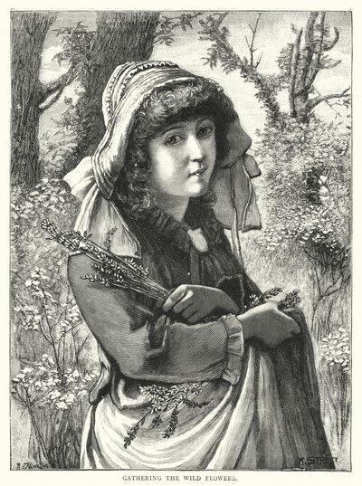 Vadvirágok gyűjtése (metszet) alkotó: English School