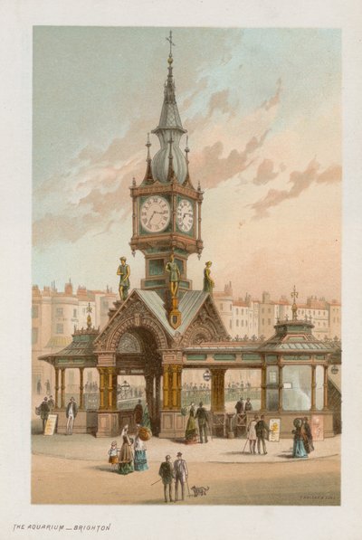 Az akvárium általános képe Brightonban alkotó: English School