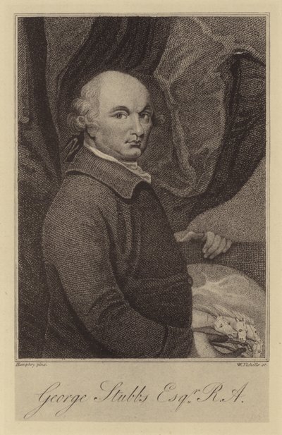 George Stubbs alkotó: English School