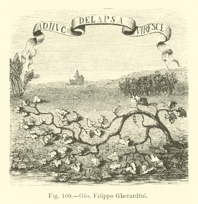 Giovanni Filippo Gherardini von English School