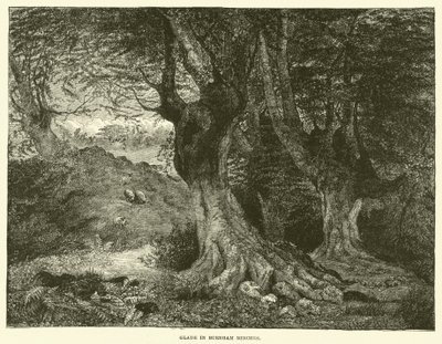 Glade in Burnham Beeches (metszet) alkotó: English School