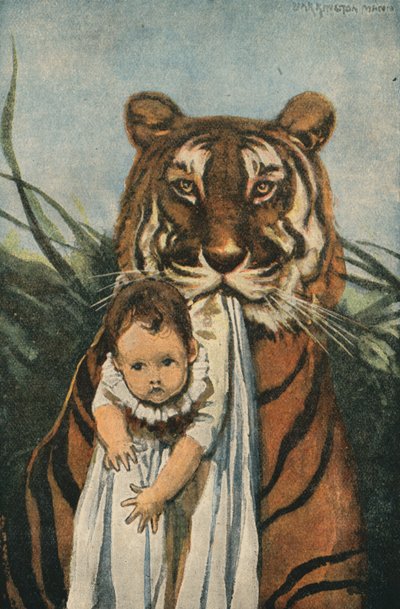 Good Tiger (színes litográfia) alkotó: English School