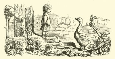 ludas, ludas gúny alkotó: English School