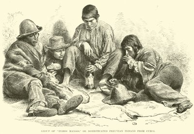 Indios Mansos csoport, vagy háziasított perui indiánok Cuzcóból alkotó: English School