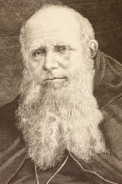 Guglielmo Massaia (litho) alkotó: English School
