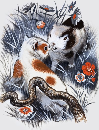 Tengerimalac (gouache, papír) alkotó: English School