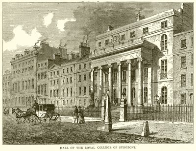 A Royal College of Surgeons terme alkotó: English School