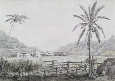 Halse Hall, Jamaica, 1780 körül (wc és grafit papíron) alkotó: English School