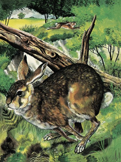 Hare fut alkotó: English School