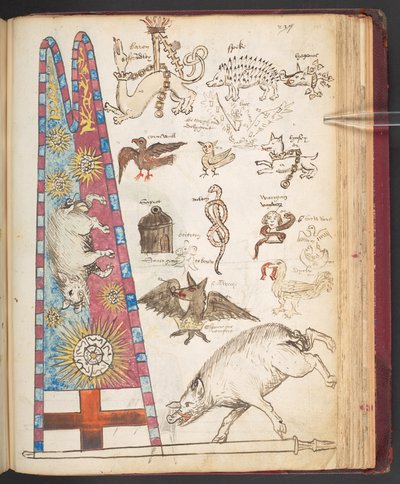 Harley 4632, f.242, III. Richard transzparense a Bosworth-nél, valamint Yorkista napfény (persely) alkotó: English School
