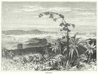 Havanna (metszet) alkotó: English School