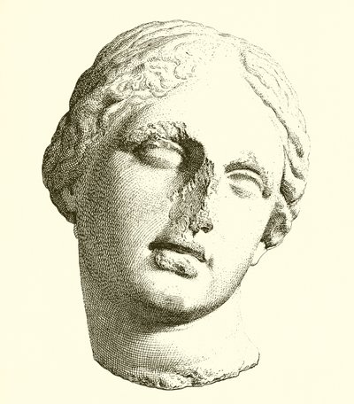 Aphrodité vezetője alkotó: English School