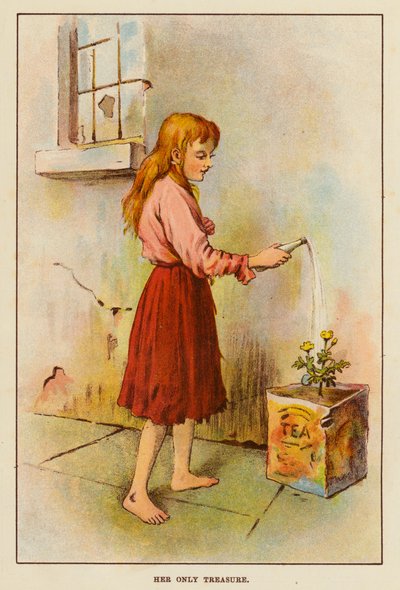 Egyetlen kincse (színes litó) alkotó: English School