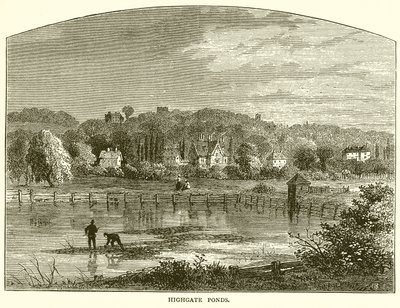 Highgate tavak alkotó: English School