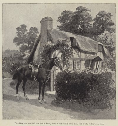 Jótündérje, Mary Elizabeth Braddon (metszet) alkotó: English School