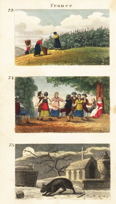Franciaország történelmi nézetei alkotó: English School