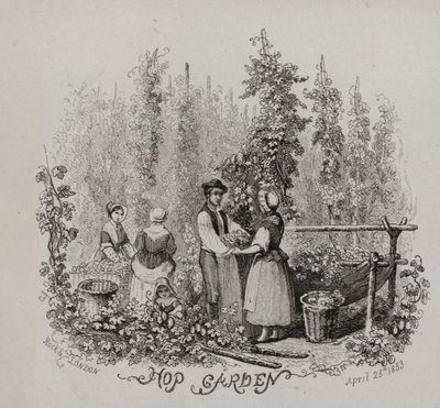 Komlókert (metszet) alkotó: English School