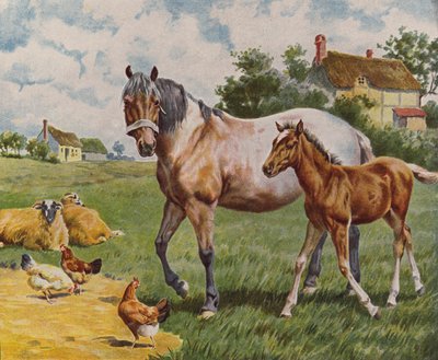 Ló és csikó, juh és tyúk (színes litográfia) alkotó: English School