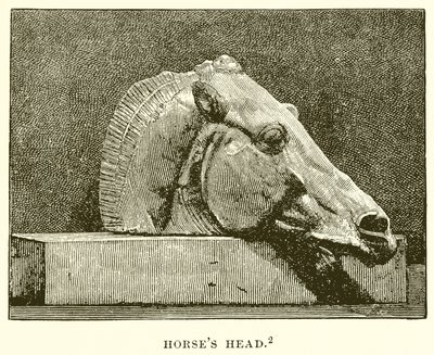 Pferdekopf von English School