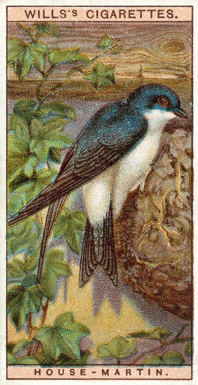 House-Martin alkotó: English School