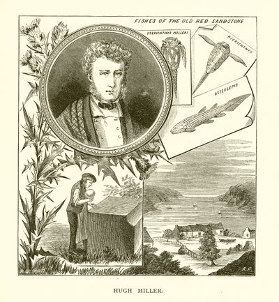 Hugh Miller alkotó: English School