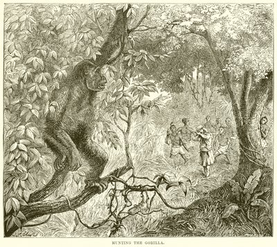Vadászat a gorillára alkotó: English School
