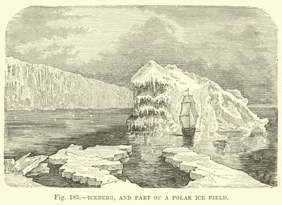 Jéghegy, és egy sarki jégmező része alkotó: English School