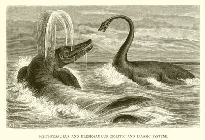 Ichthyosaurus és Plesiosaurus, Oolitikus és Liász rendszer alkotó: English School