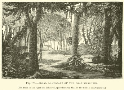 A szénmércék ideális tája alkotó: English School